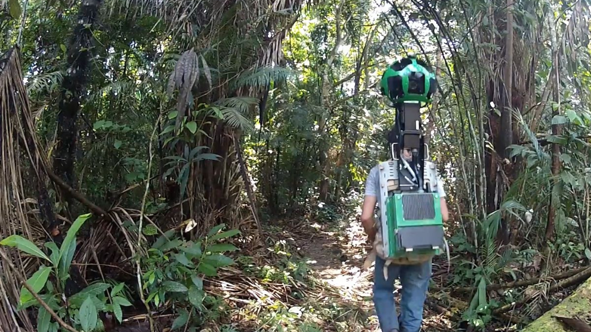 Mithilfe der Trekker-Kameras sind viele Bilder des Amazons für Google Street View entstanden