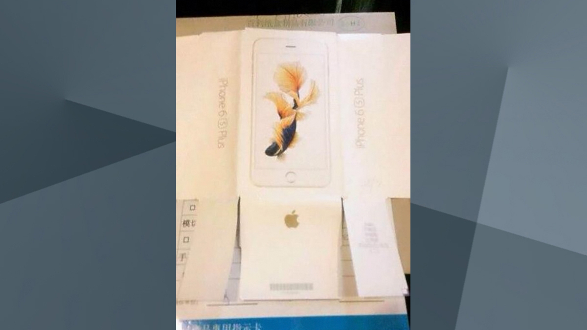 Apple-iPhone-6s-Plus-Verpackung-Leak