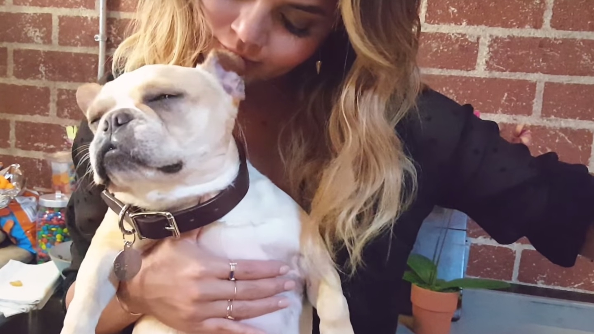 Chrissy Teigen und ihr Hund sind vom Galaxy S6 Edge+ offenbar begeistert