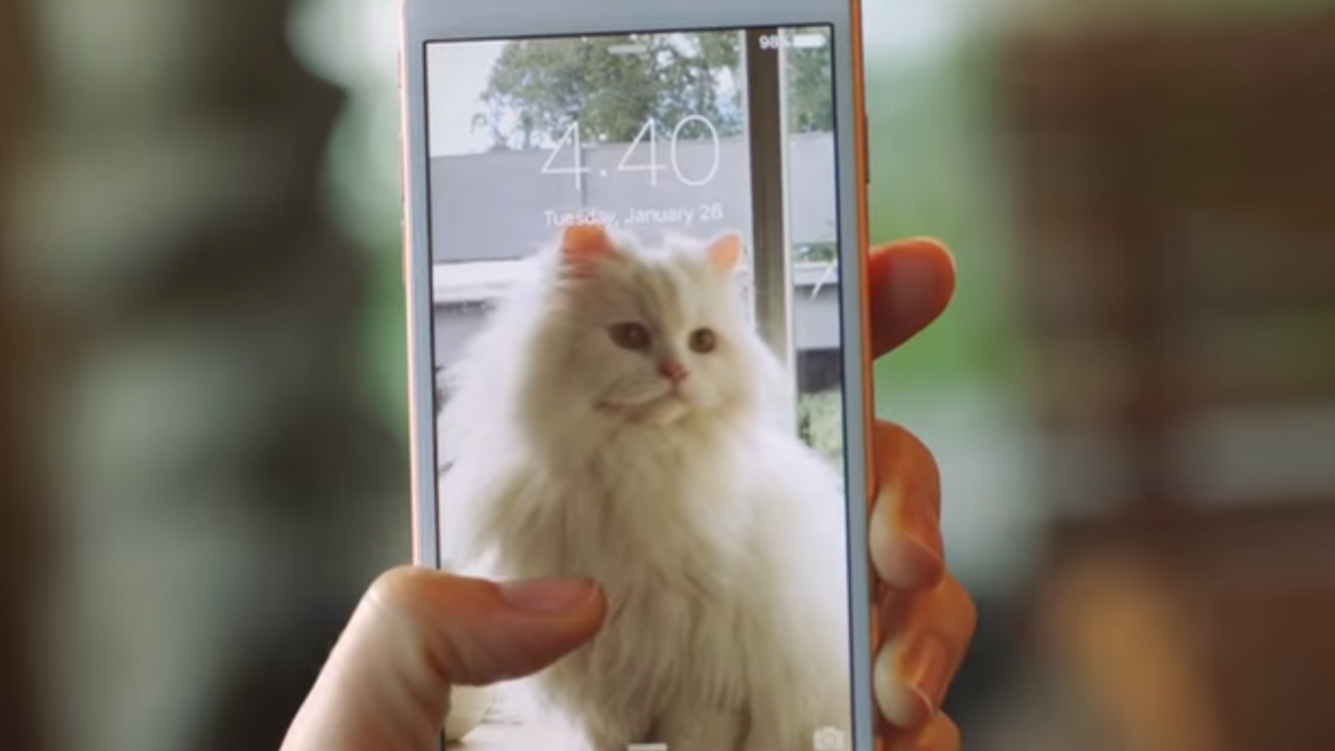 iphone 6s katze werbung youtube live photos