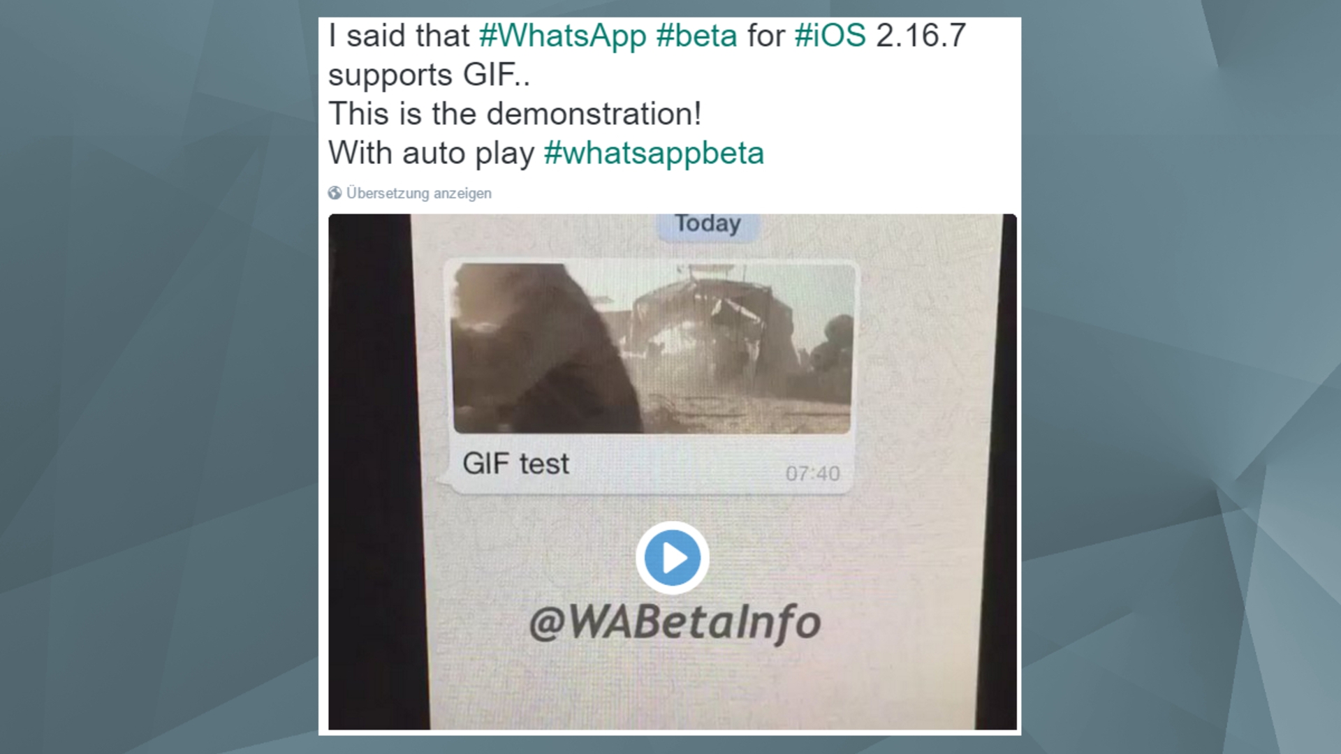 WhatsApp GIF Demo Twitter WAbetaInfo