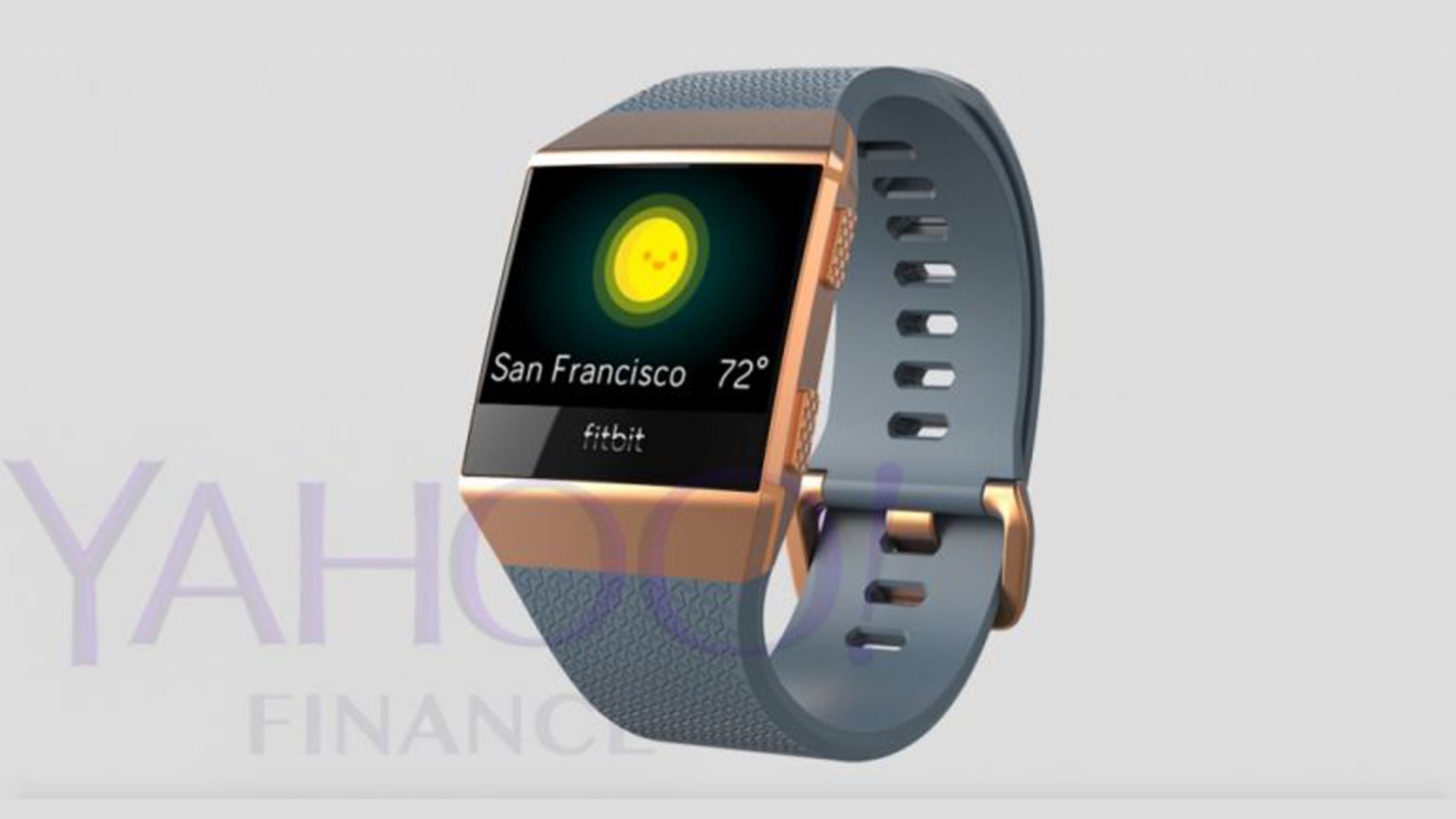 Fitbit Leak