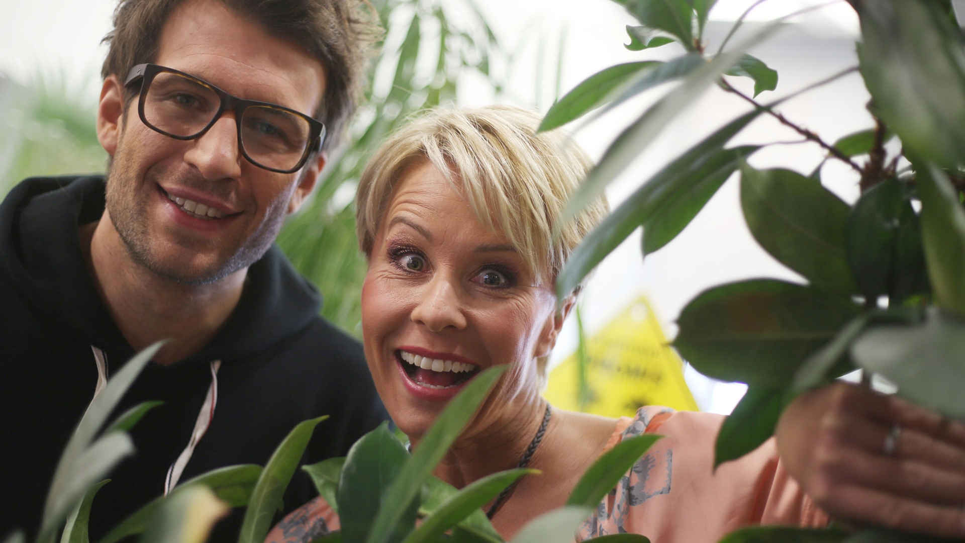 RTL-Dschungelcamp - Sonja Zietlow und Daniel Hartwich