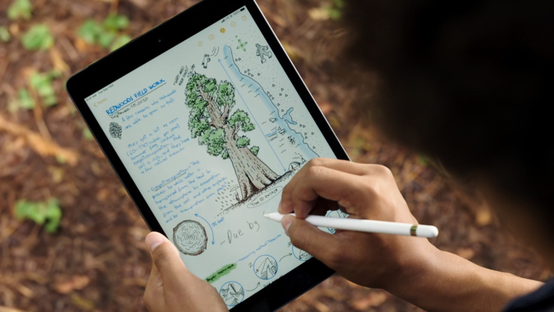 Mann bedient iPad 8. Generation von 2020 mit Apple Pencil