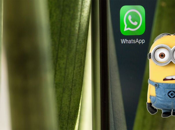 WhatsApp Minions