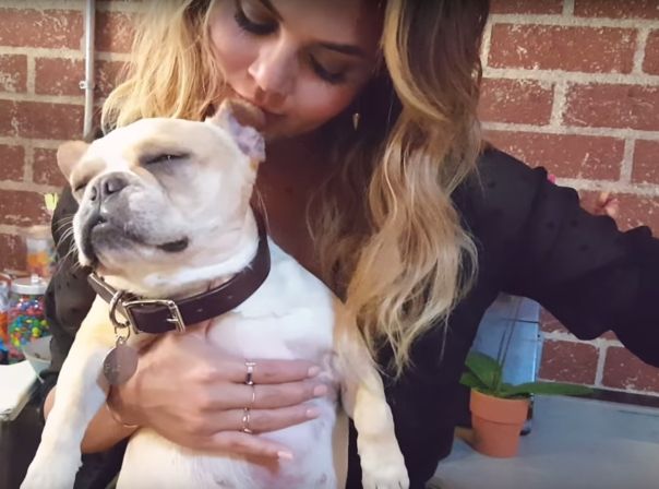 Chrissy Teigen und ihr Hund sind vom Galaxy S6 Edge+ offenbar begeistert