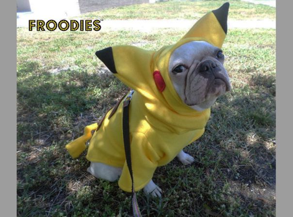 Froodies