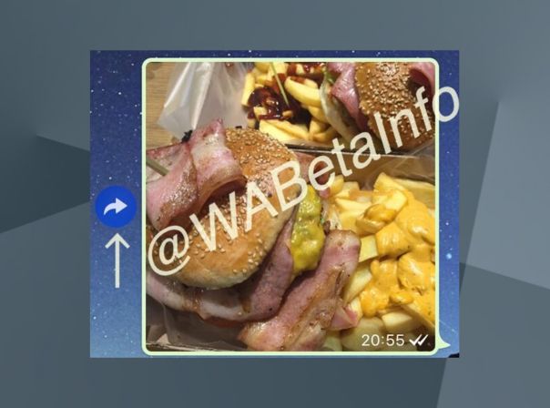 WABetaInfo whatsapp ios forward button screenshot Twitter