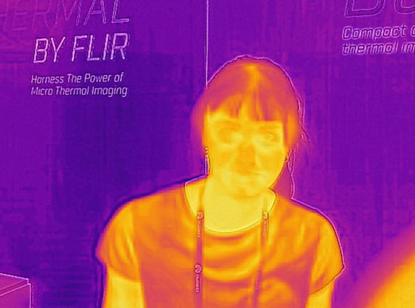 FLIR Wärmebild