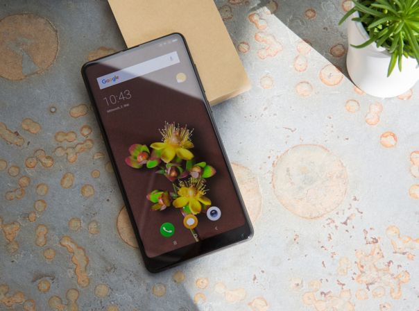 Xiaomi Mi Mix 2s auf Tisch mit Pflanze