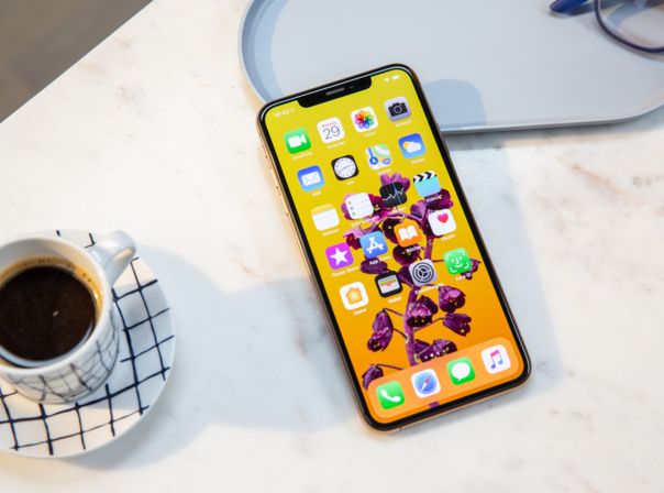 Das iPhone Xs Max hat eine breite Notch