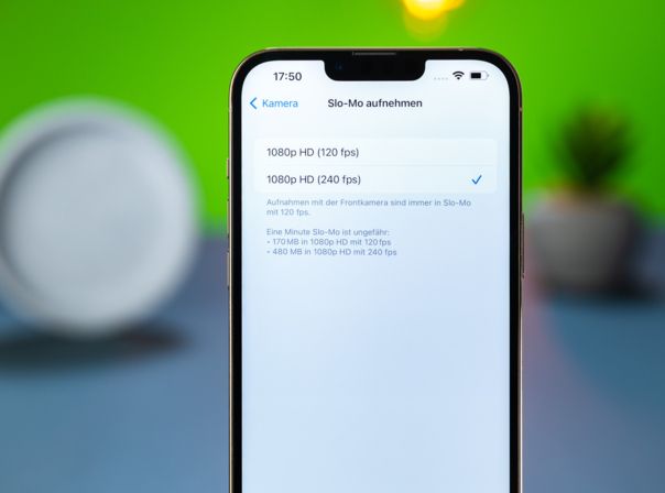 iPhone 13 Pro Max Notch