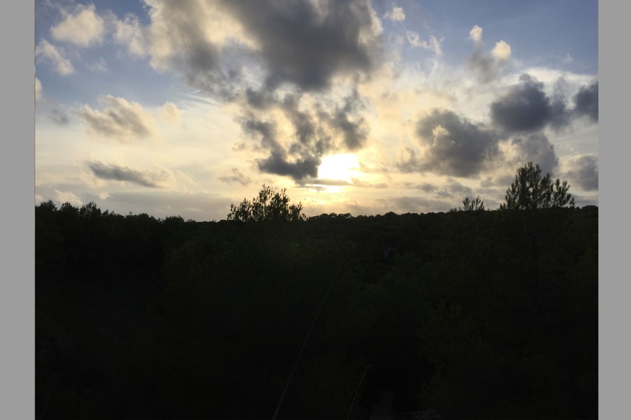 Sonnenuntergang mit Wald: Da kommt auch das iPhone 6 an seine Grenzen