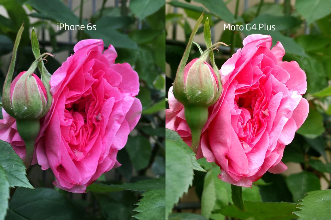 Vergleichsfoto iPhone 6s und Moto G4 Plus