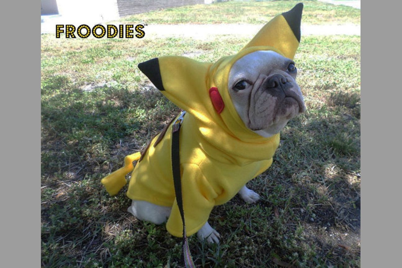 Froodies