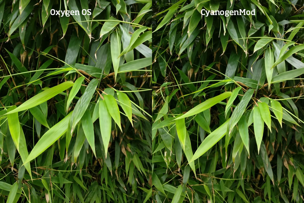 OnePlus 3 Oxygen OS vs CyanogenMod Kamera-Vergleich