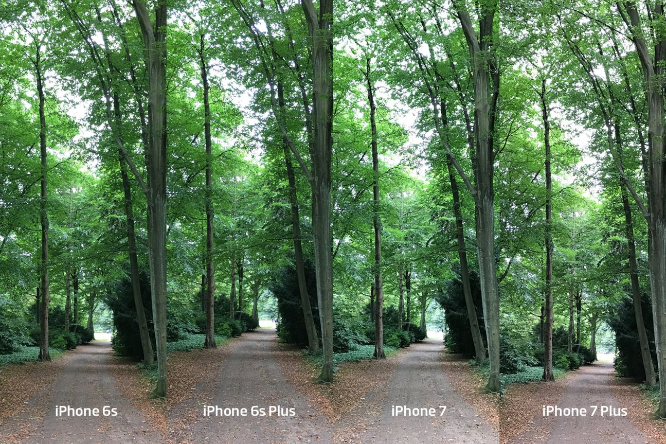 iPhone 6s, 6s Plus,7, 7 Plus Kameravergleich Landschaft