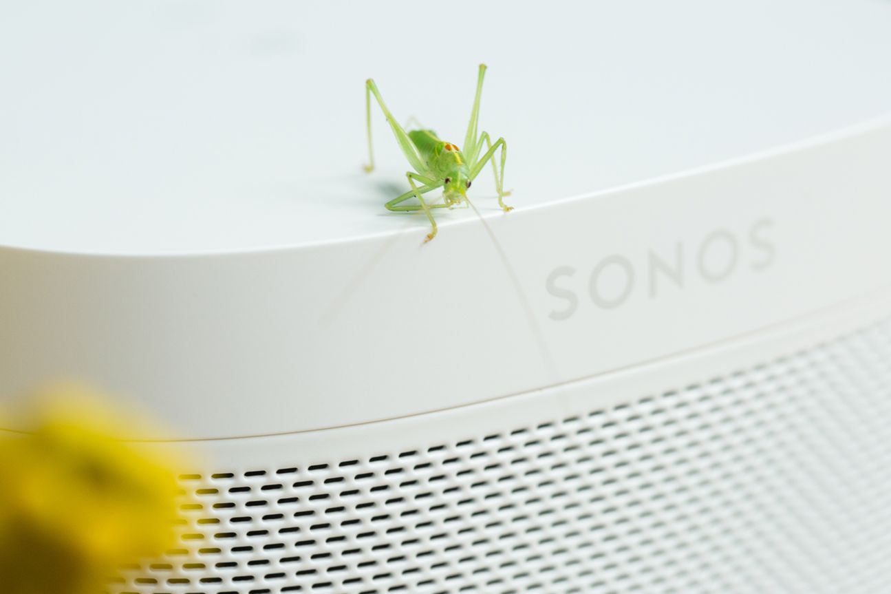 Sonos One