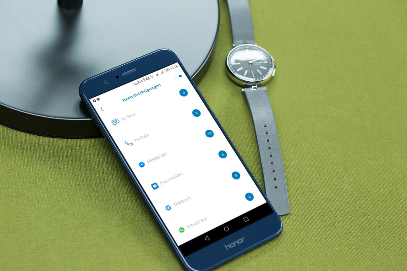 Skagen Hybrid Smartwatch