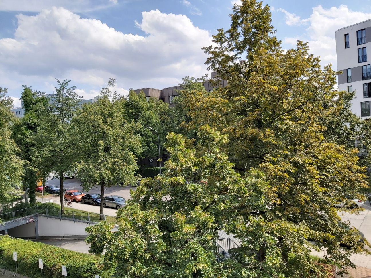 Blick aus dem CURVED-Büro