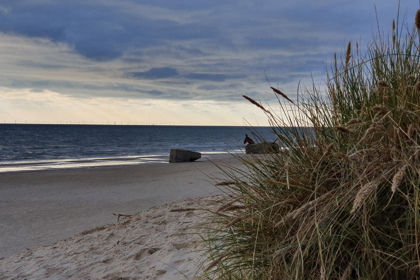 Galaxy S10 Foto Strand Düne