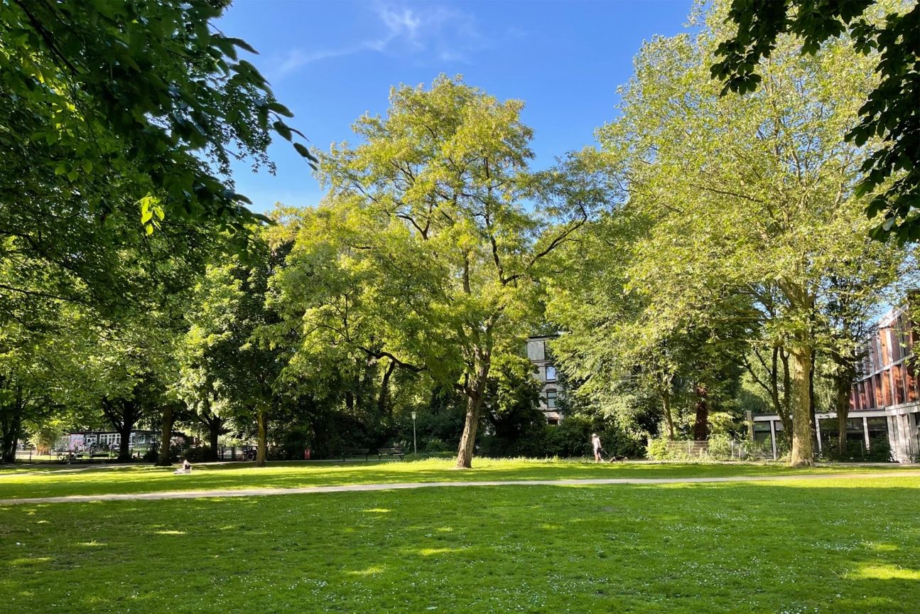 iPhone 12 Pro Max Kamera-Test im Park